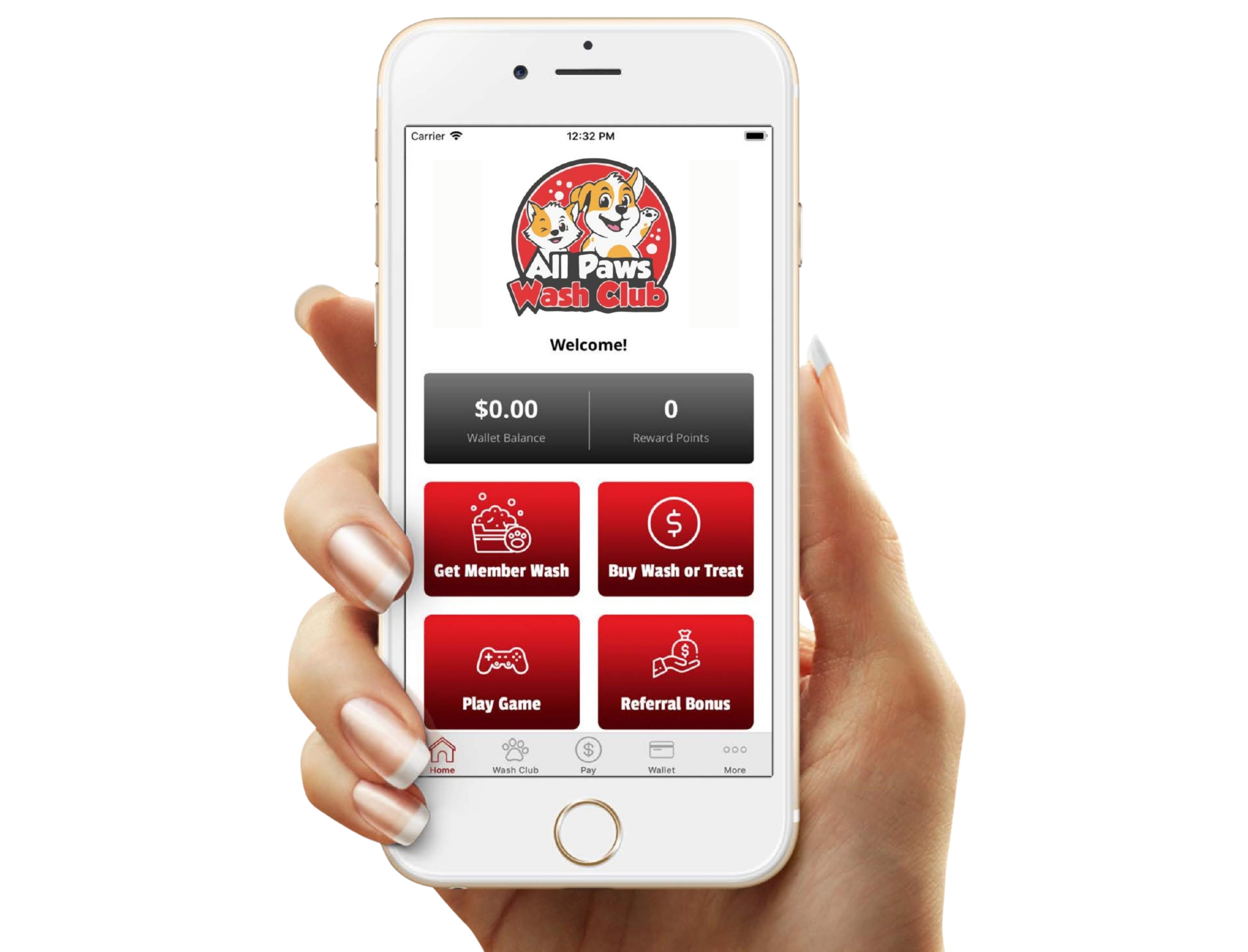 Hand holding smartphone showing All Paws Wash Club app for pet washes and rewards