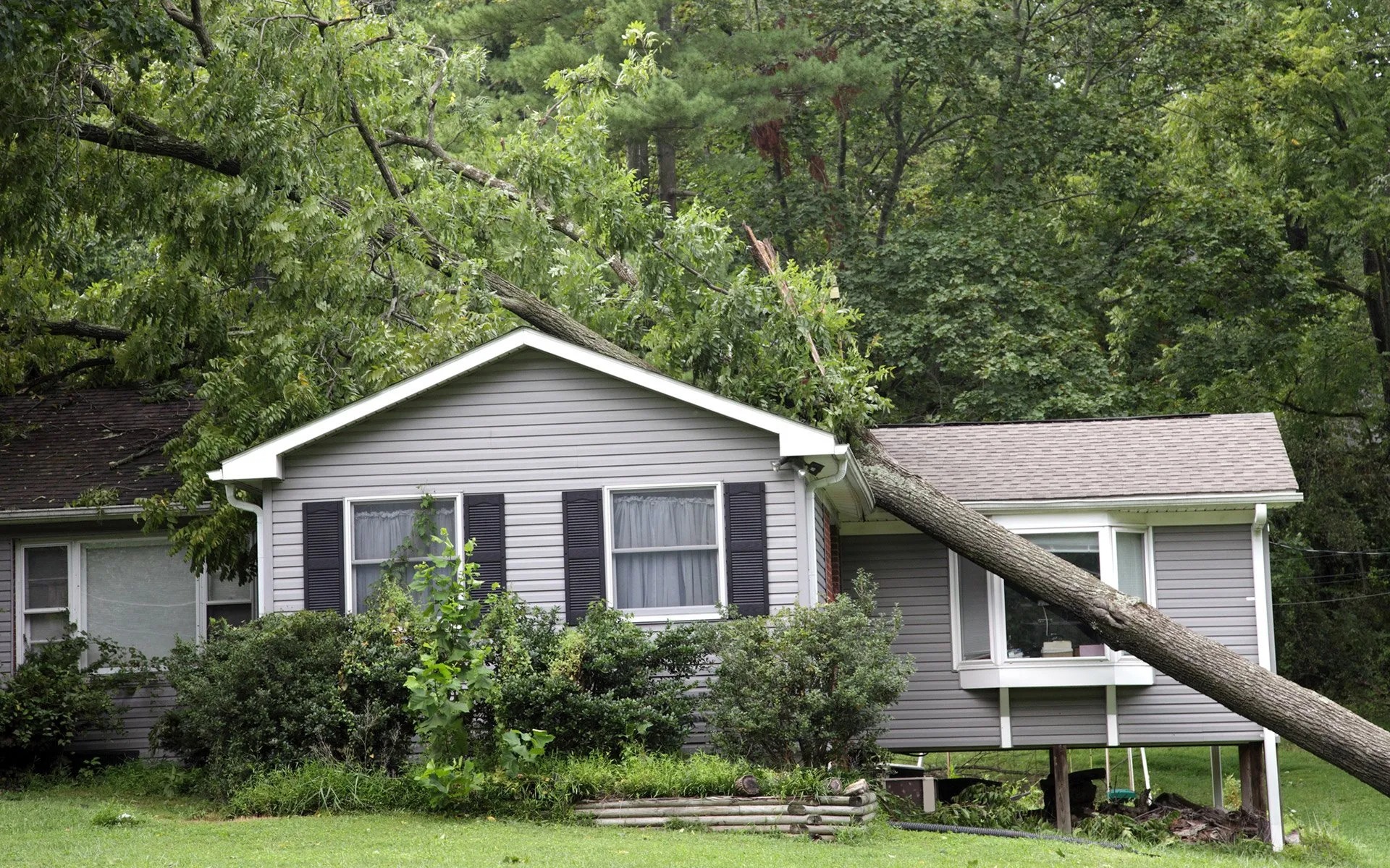 Documenting storm damage early