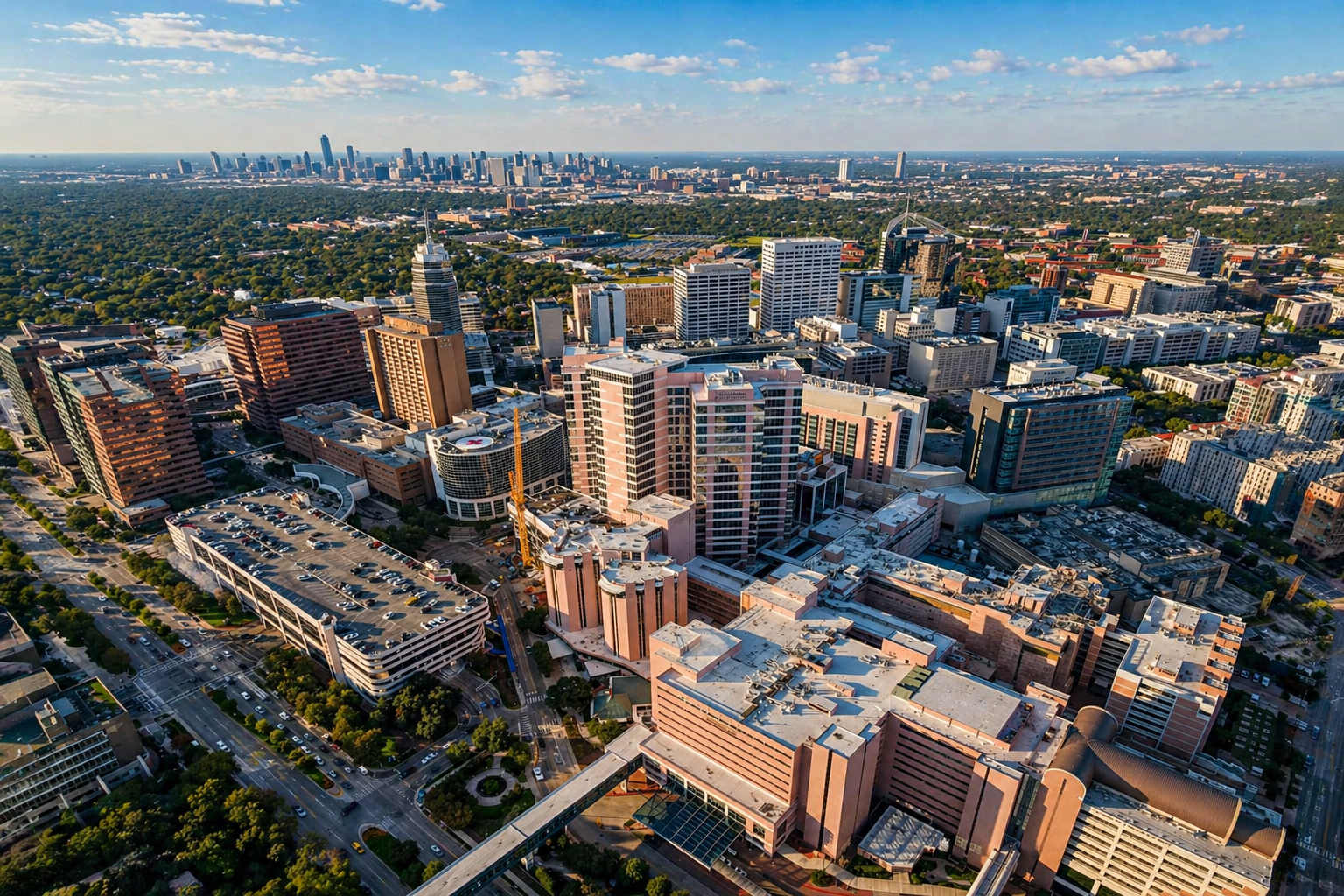 Customized Organization in Houston