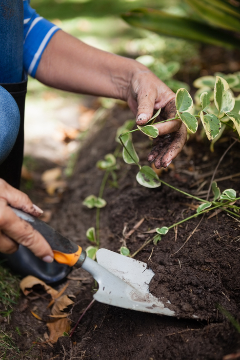 Gartenarbeit | Werner Hollmann