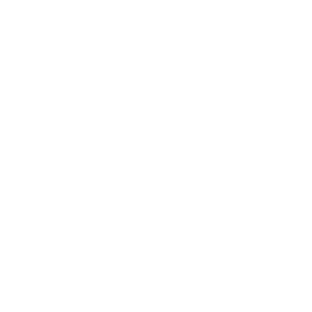 Larissa Lima Academy