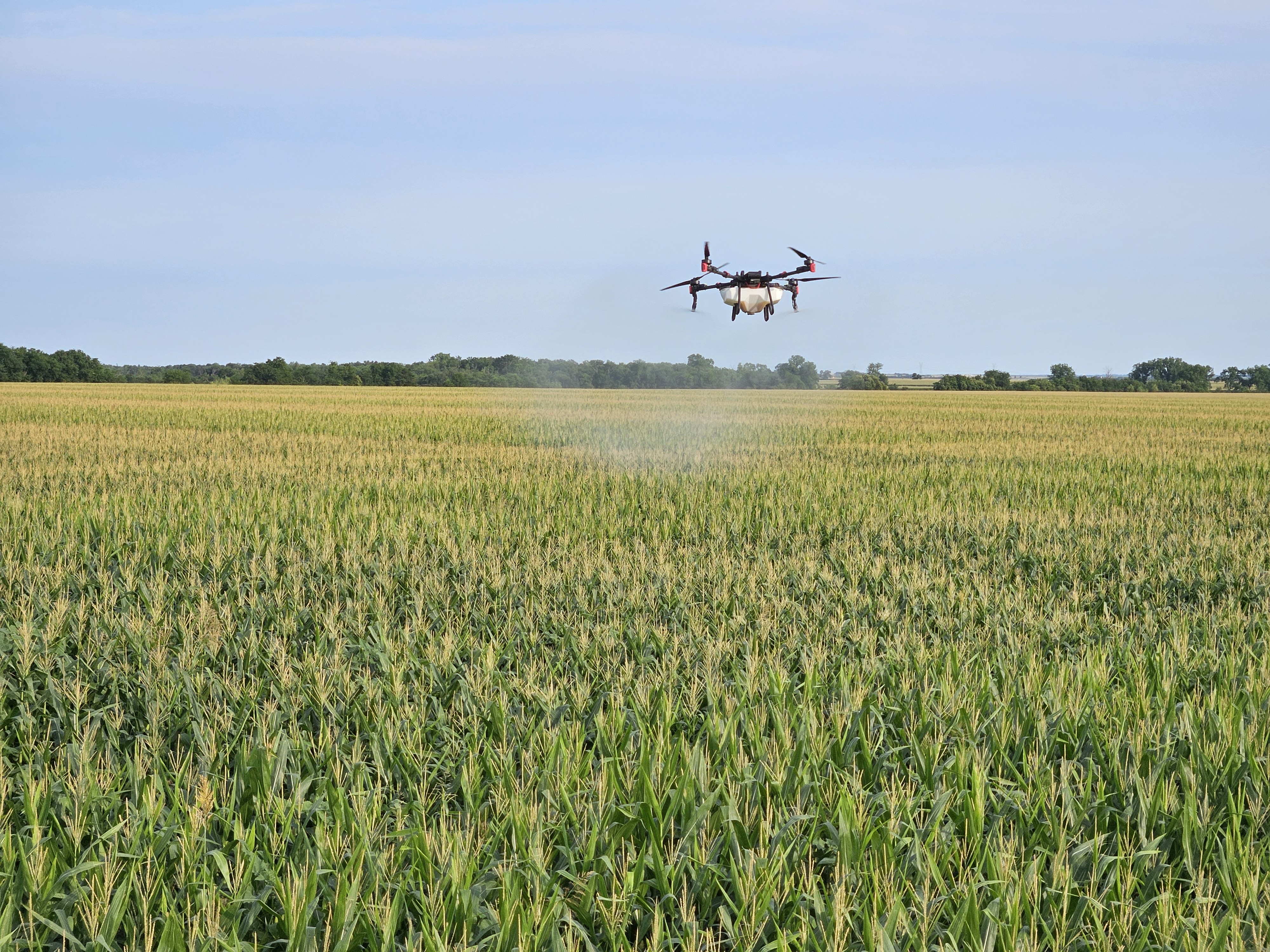 Agricultural Crop Spraying - ProTexAG Drone Application Services
