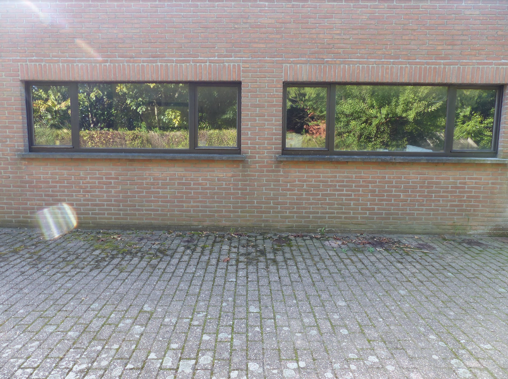 Voor de reiniging