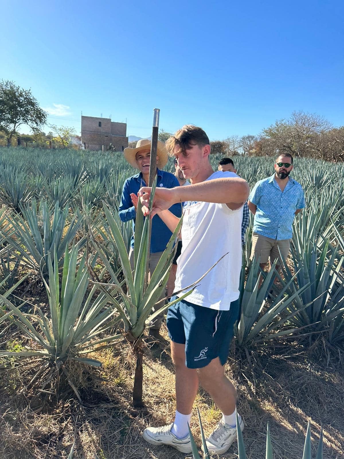 Tequila Mastermind