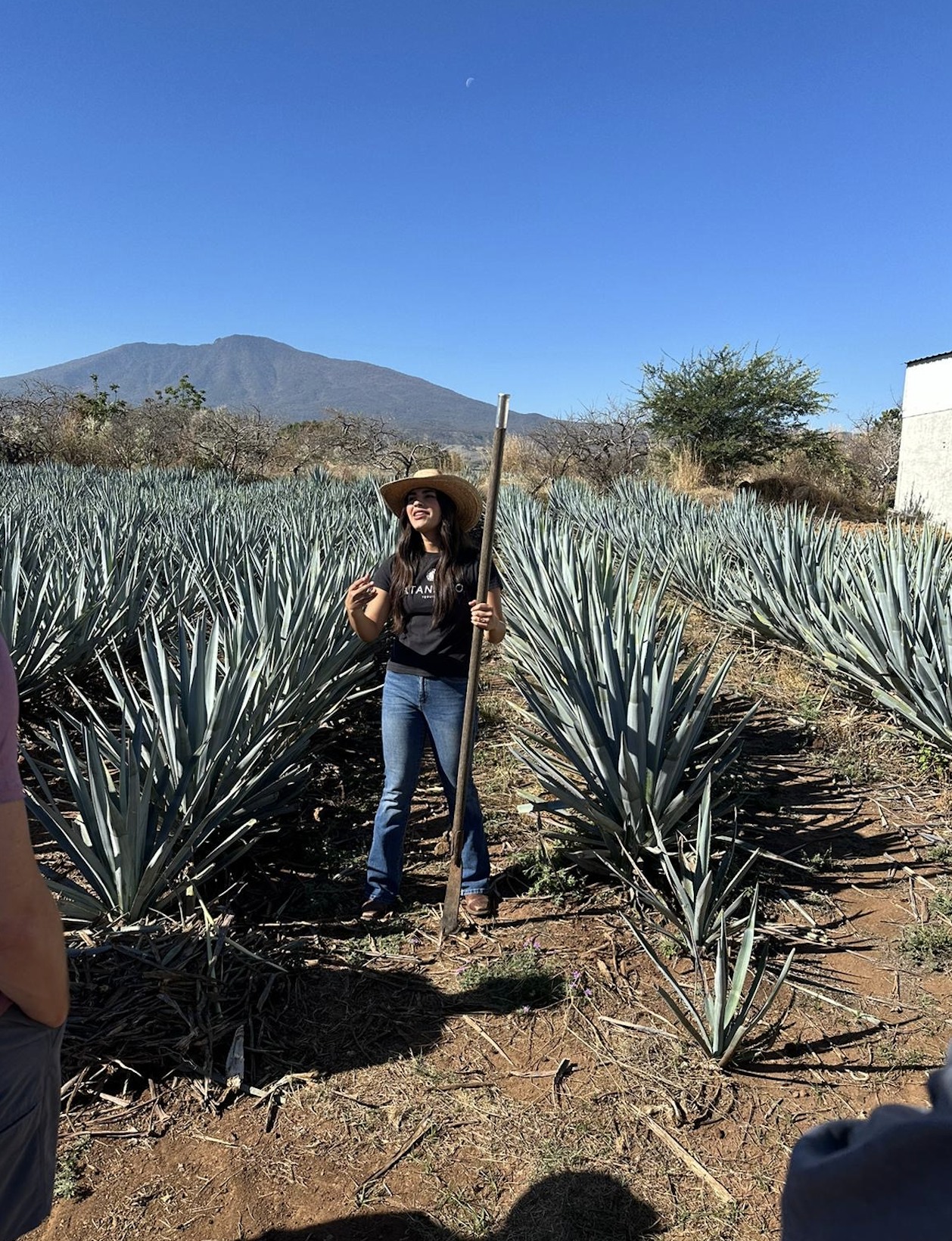 Tequila Mastermind