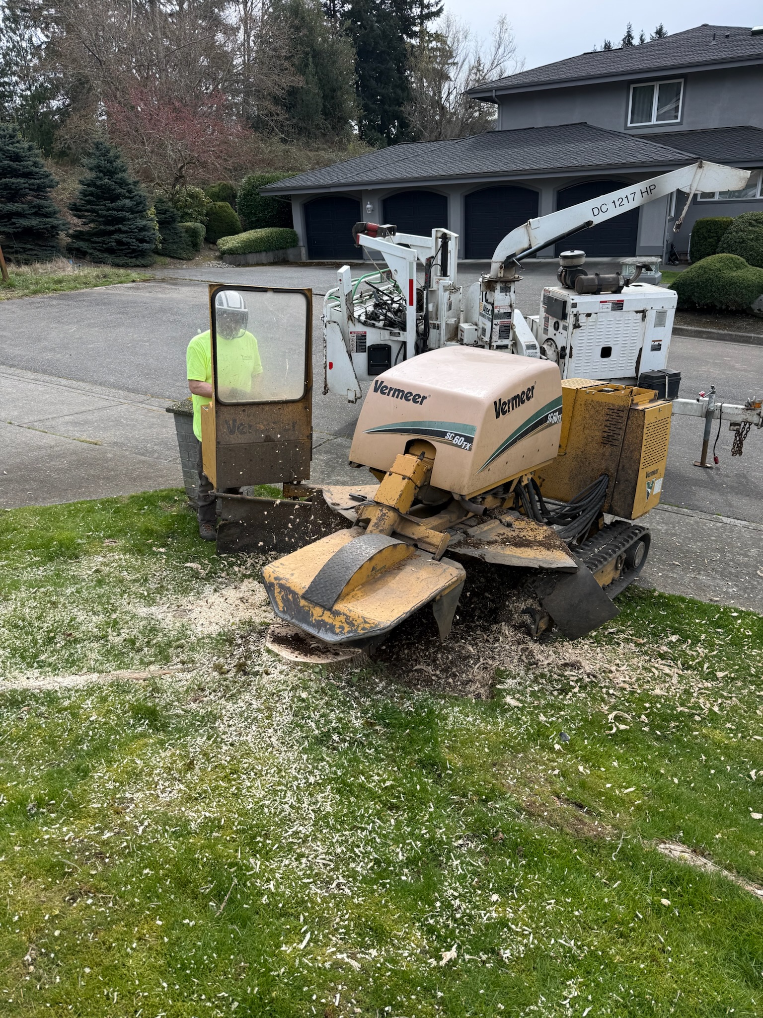 Stump grinding