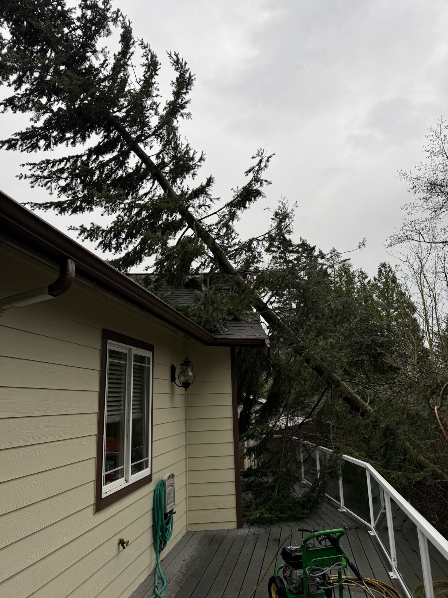 24 hour emergency tree service