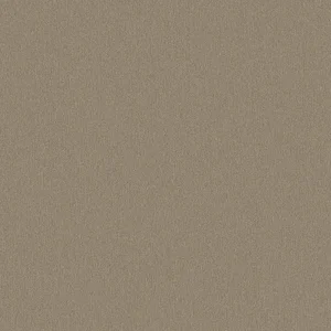 AF209 Shadow Frost Custom Closet Color