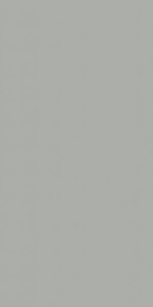 AF210 Silver Frost Custom Closet Color