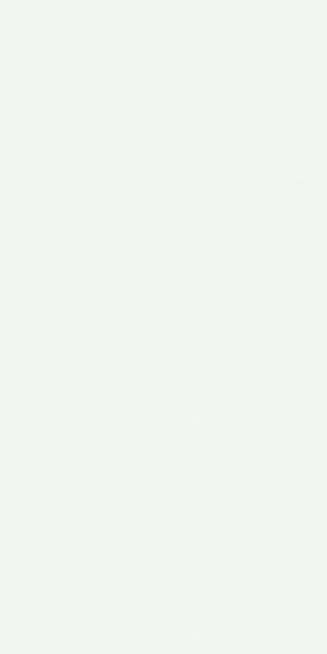 W100 White Custom Closet Color