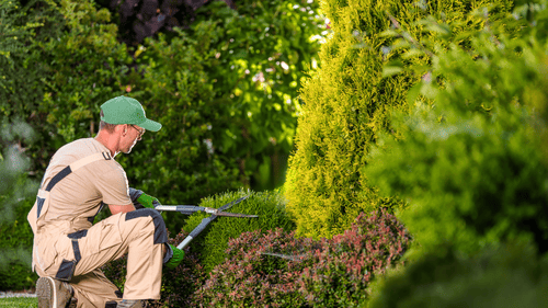 Cochrane Landscaping Services