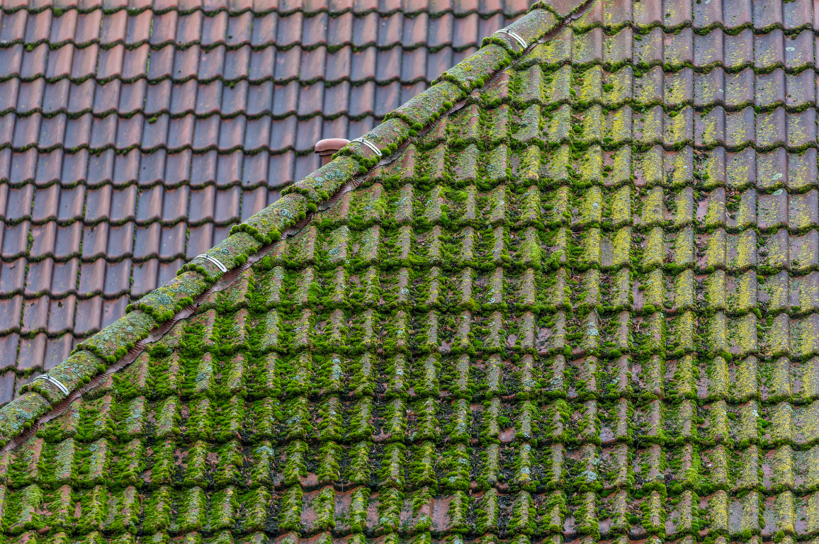 entretien toiture Beauvais / couvreur Beauvais / nettoyage couverture Beauvais / démoussage toiture Beauvais / entreprise couverture Beauvais / toiture durable Beauvais / rénovation toiture Beauvais / artisan couvreur Beauvais / couverture Beauvais entretien toiture Beauvais / couvreur Beauvais / nettoyage couverture Beauvais / démoussage toiture Beauvais / entreprise couverture Beauvais / toiture durable Beauvais / rénovation toiture Beauvais / artisan couvreur Beauvais / couverture Beauvais