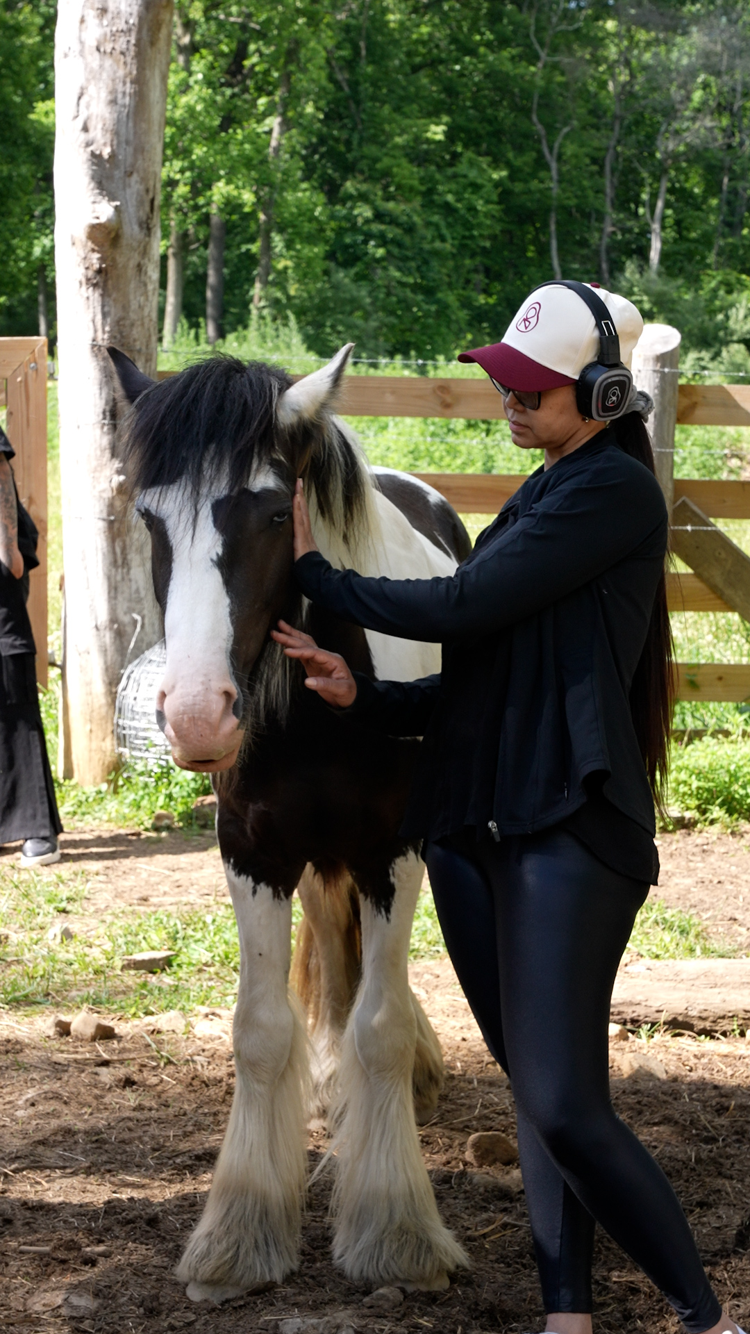 Terapia Asistida con Caballos