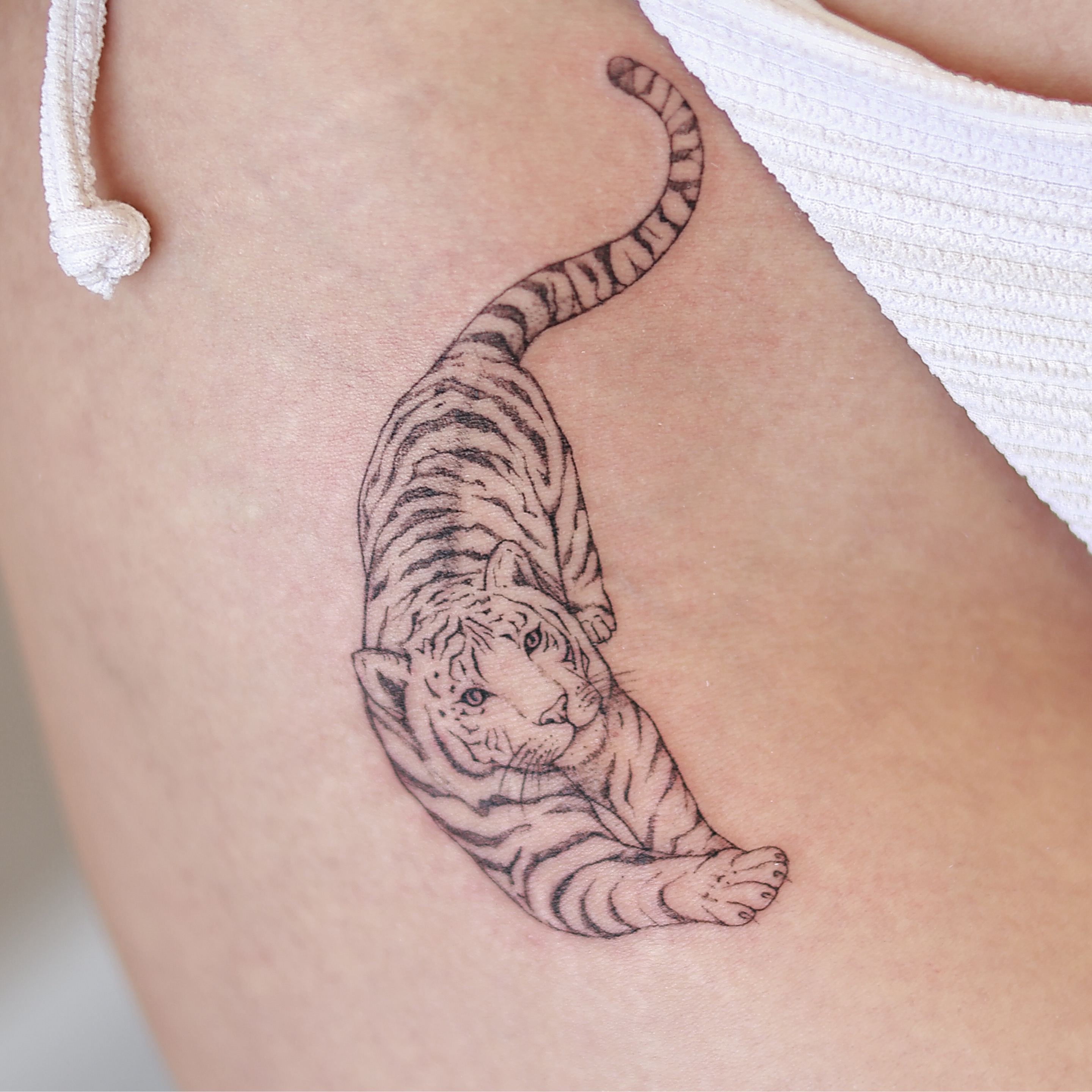 Tatouage d'un tigre en traits fins sur la hanche