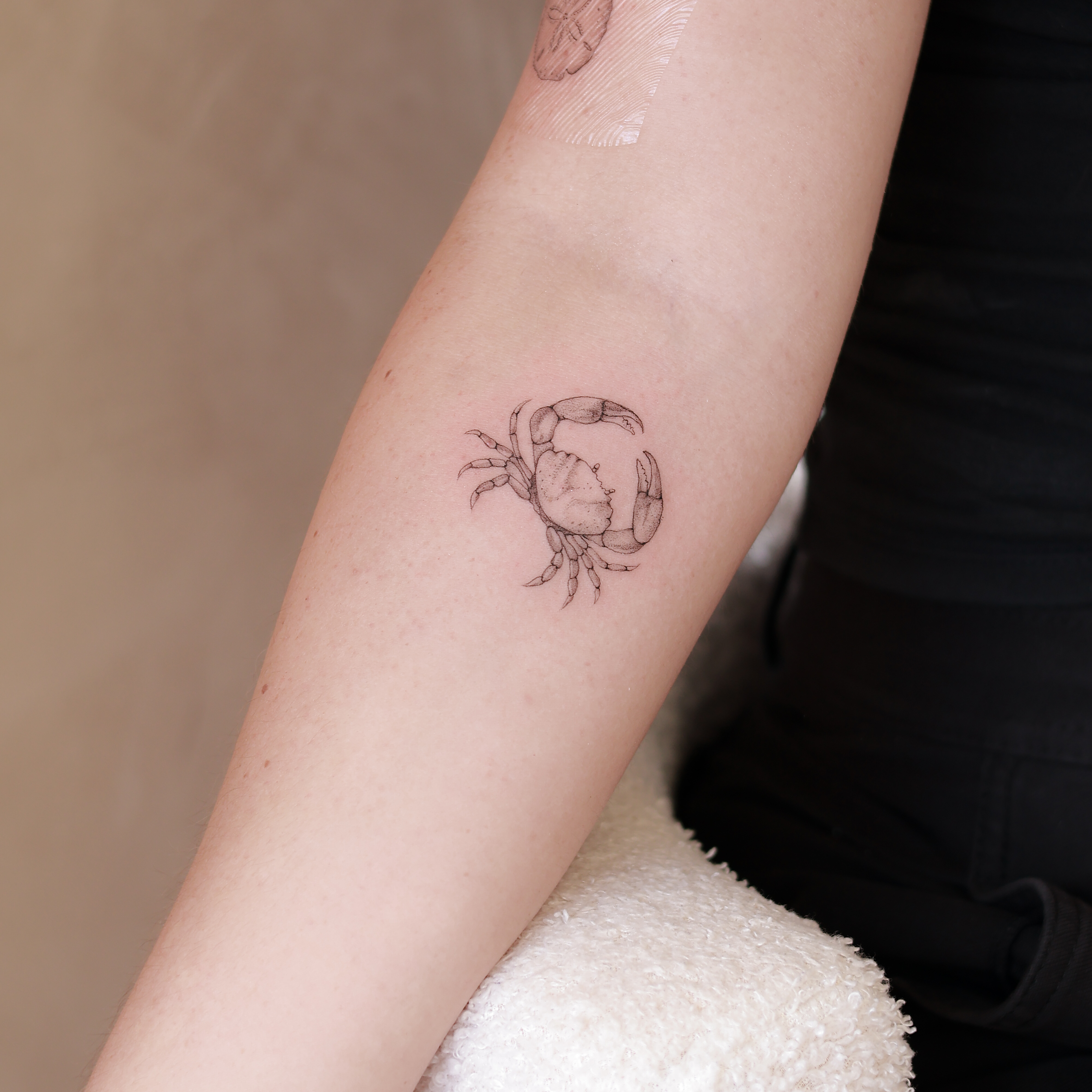 Tatouage fine line d’un crabe sur l’avant-bras