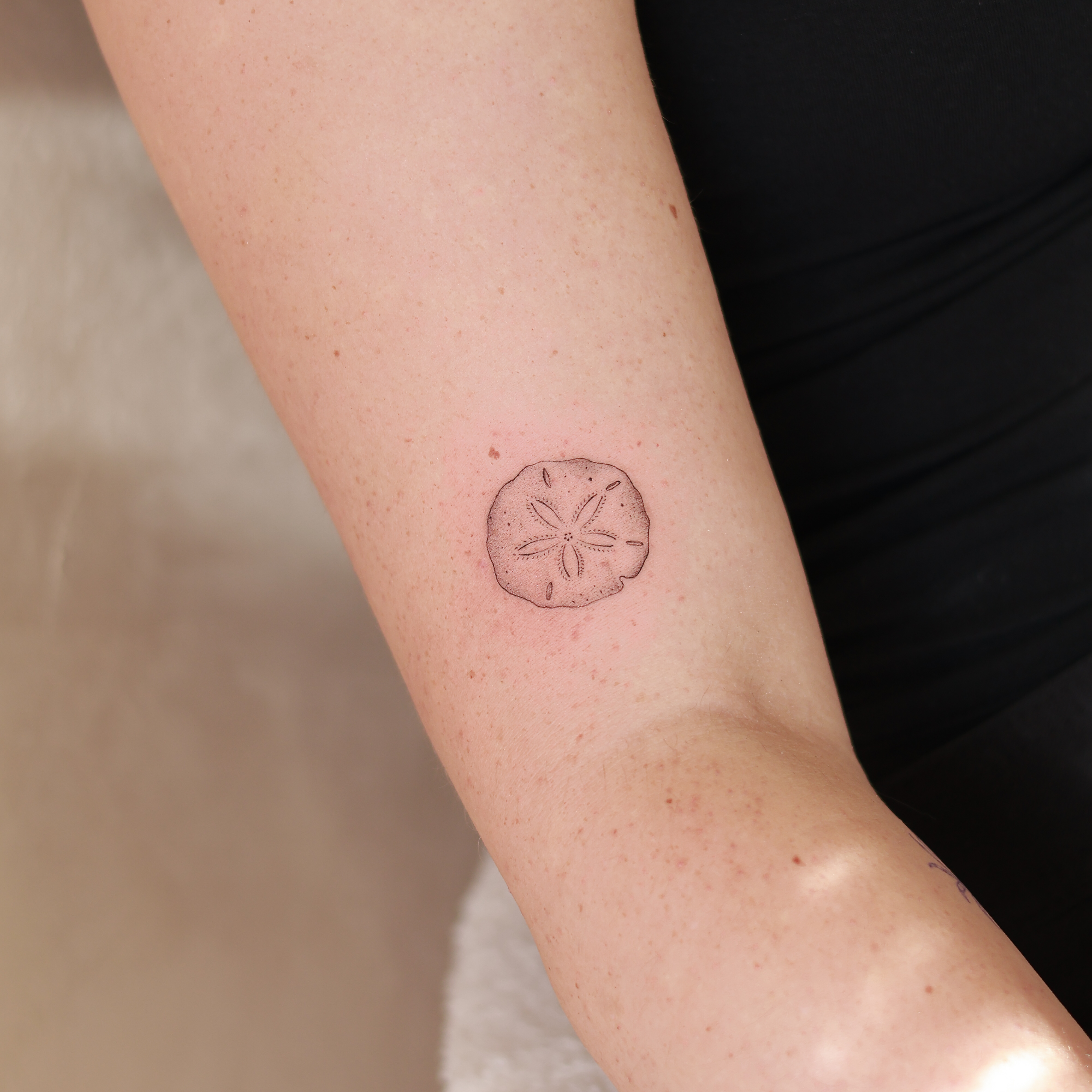 Tatouage fine line d'un dollar des sables sur l'avant-bras