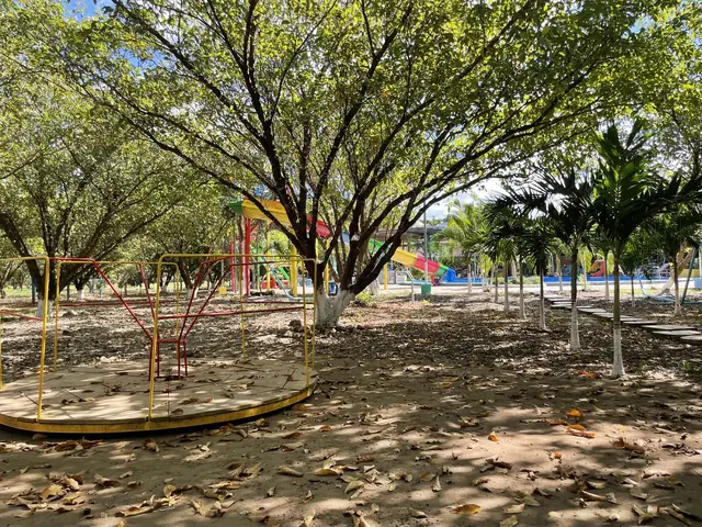 Árboles de nance del nanzal
