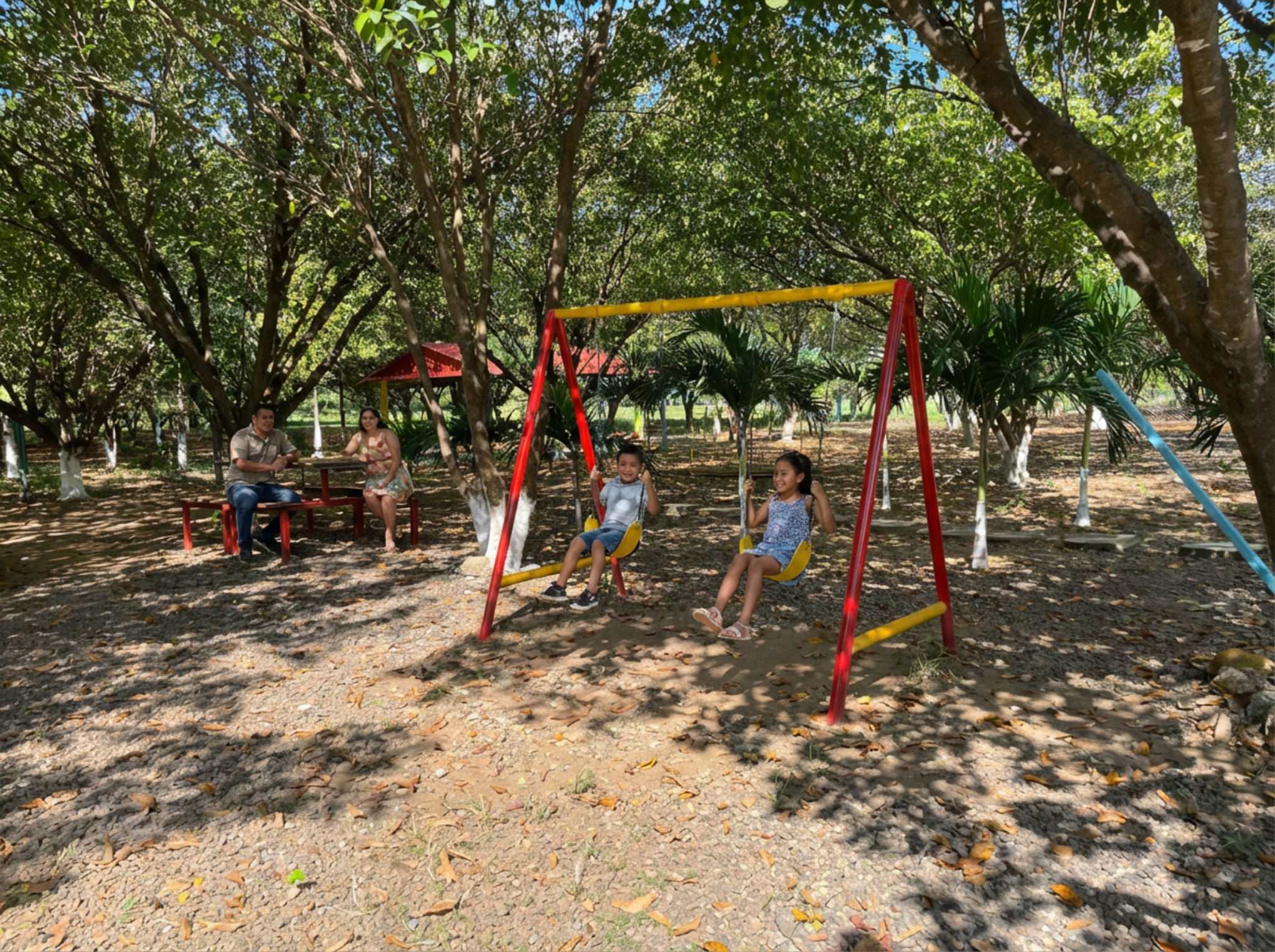 Vista general de la piscina en Gold Fruit