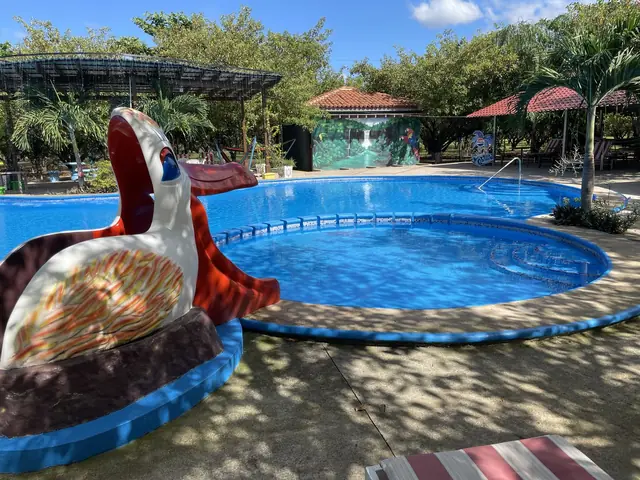 Piscina de niños con figura de tortuga