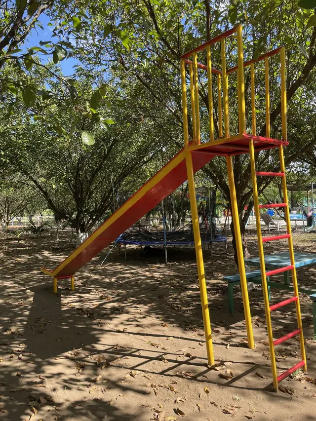Juegos para niños entre los árboles