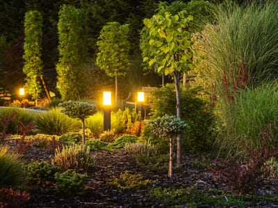 Landscape lighting illuminating a garden area with small trees and shrubs, showcasing warm light fixtures that enhance the natural beauty of the plants.