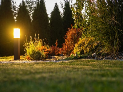 Garden pathway illuminated by a warm light fixture, highlighting surrounding plants and creating a serene evening atmosphere.