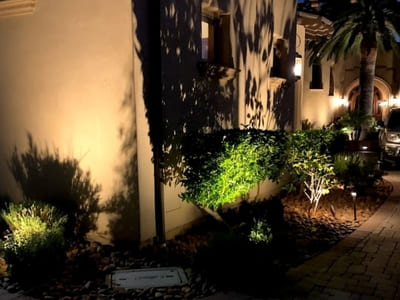 Outdoor wall lighting on a Carlsbad home, with uplights illuminating shrubs and trees along a landscaped pathway.