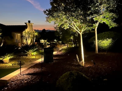 Landscape lighting highlighting trees and shrubs in a beautifully landscaped garden during the evening.