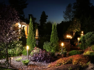 Landscape lighting highlighting various plants and trees in a well-designed garden, creating a serene atmosphere in the evening.