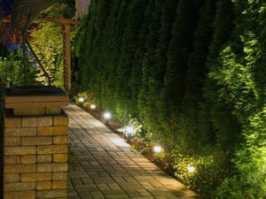 Pathway lighting along a landscaped walkway bordered by tall hedges, providing safe and inviting nighttime navigation