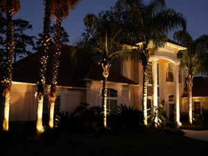 Outdoor lighting illuminating tall palm trees and the front exterior of a large, elegant home, enhancing its nighttime curb appeal.