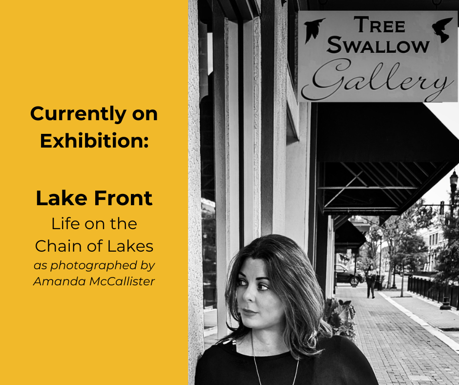 Tree Swallow Art Gallery