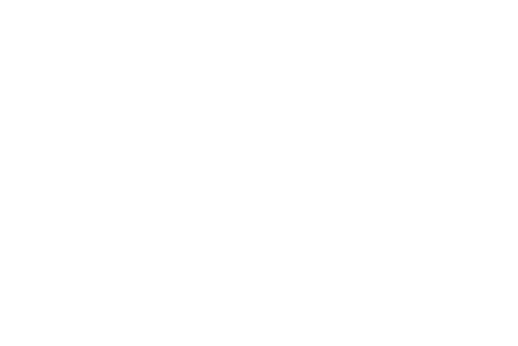 Andrea Nicole Design Logo