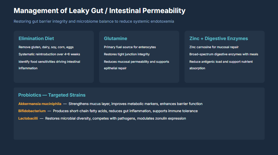 Figure 2: Management of Leaky Gut and Intestinal Permeability