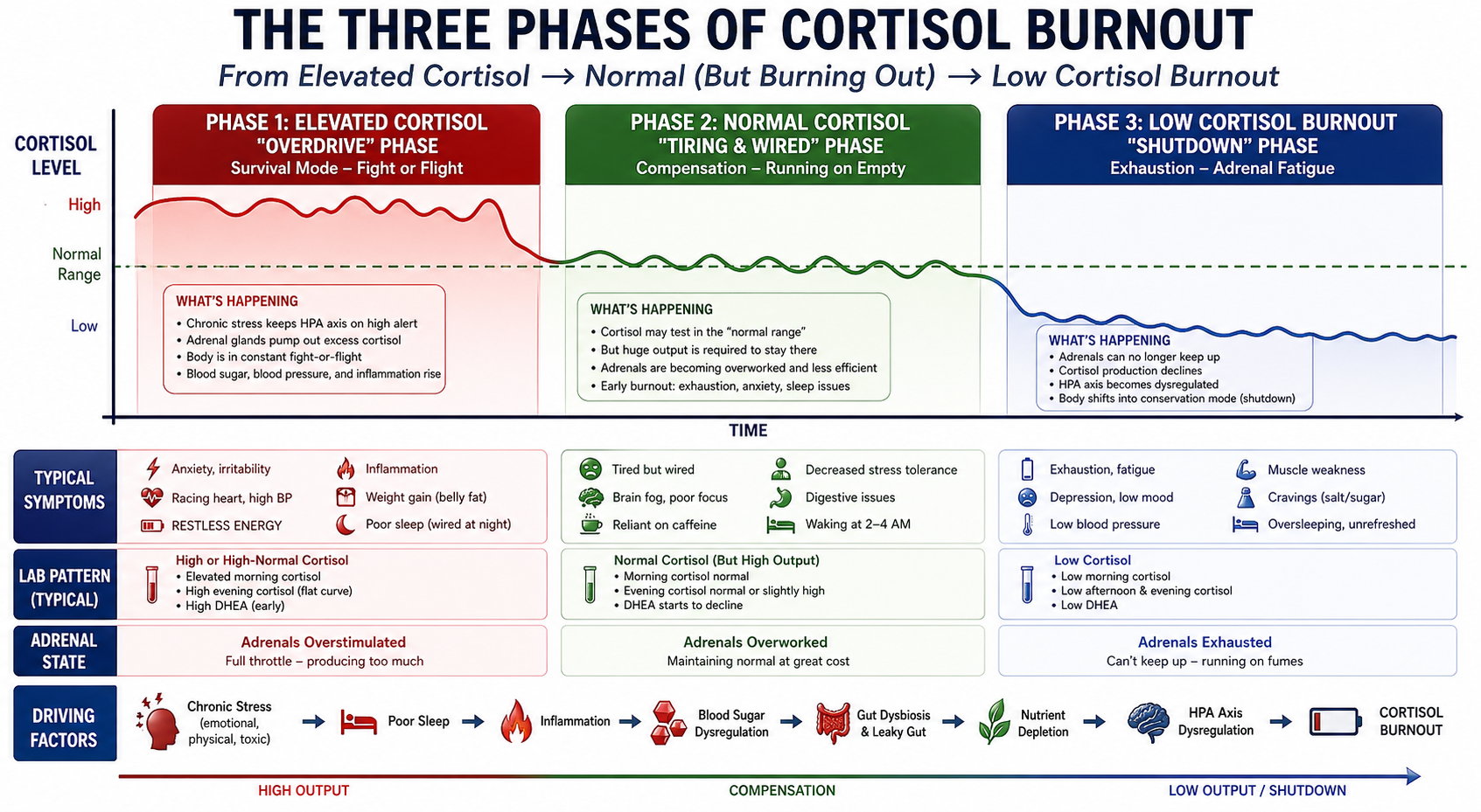 Figure 1: The Three Phases of Cortisol Burnout