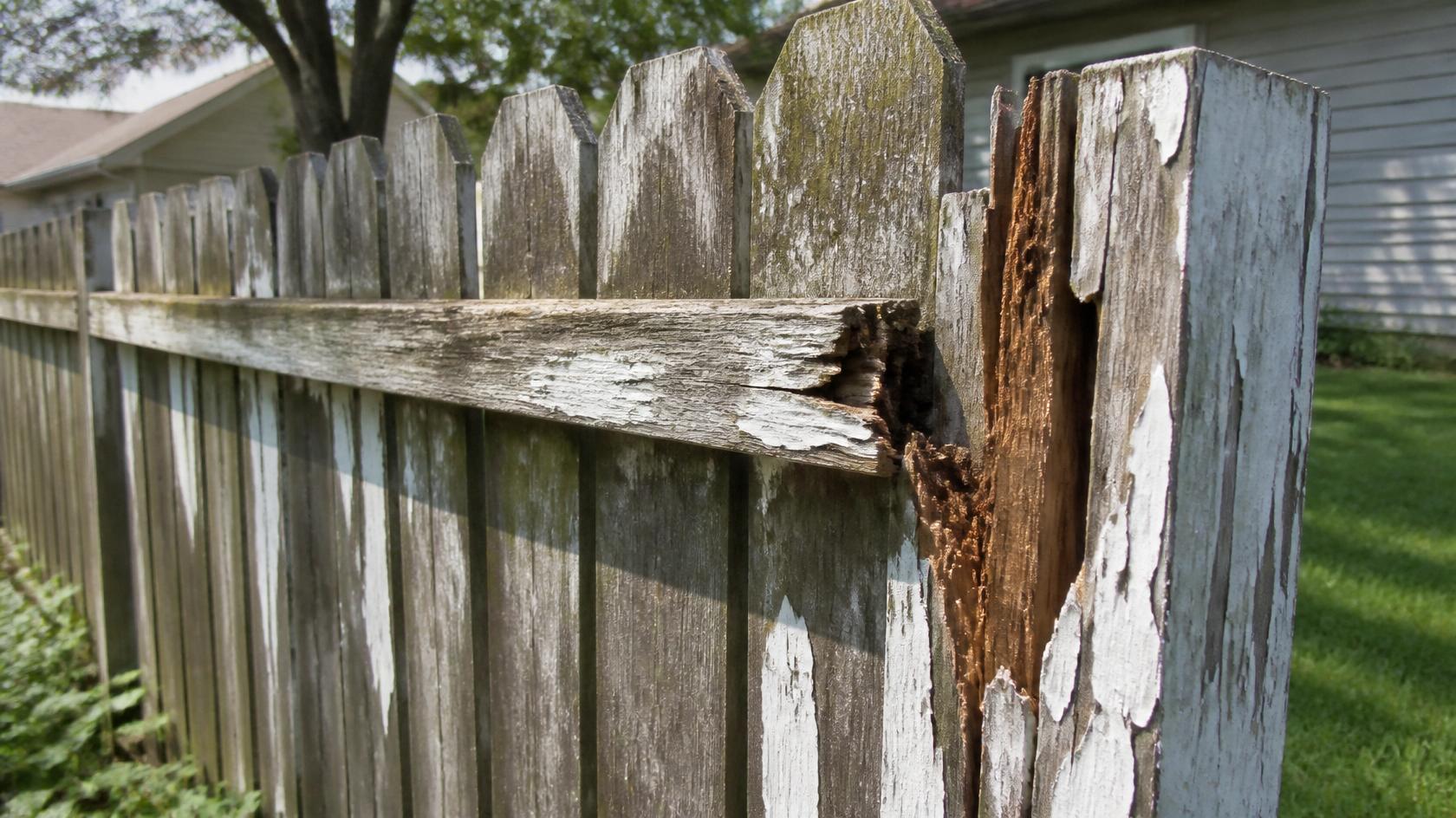 Fence repair addressing damaged posts, panels, and gates on a property in Freeport IL. Fence repair addressing damaged posts, panels, and gates on a property in Freeport IL.