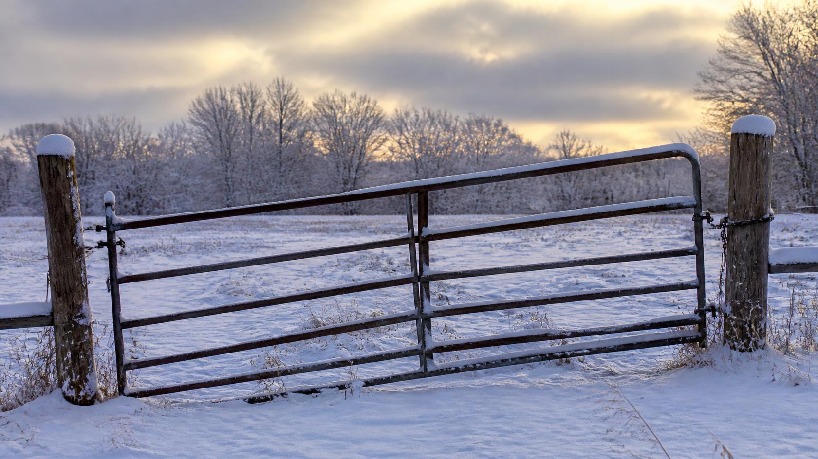 Fence gate in Edgerton, WI being inspected for sagging, alignment issues, and hardware problems that may worsen in cold weather. Fence gate in Edgerton, WI being inspected for sagging, alignment issues, and hardware problems that may worsen in cold weather.