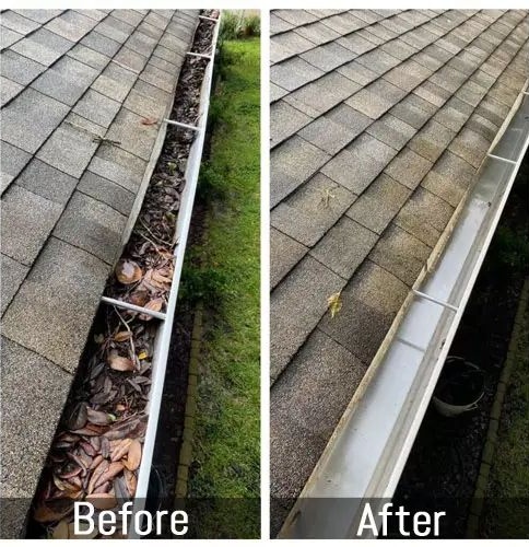 How Often Should You Treat Moss on Your Roof?
