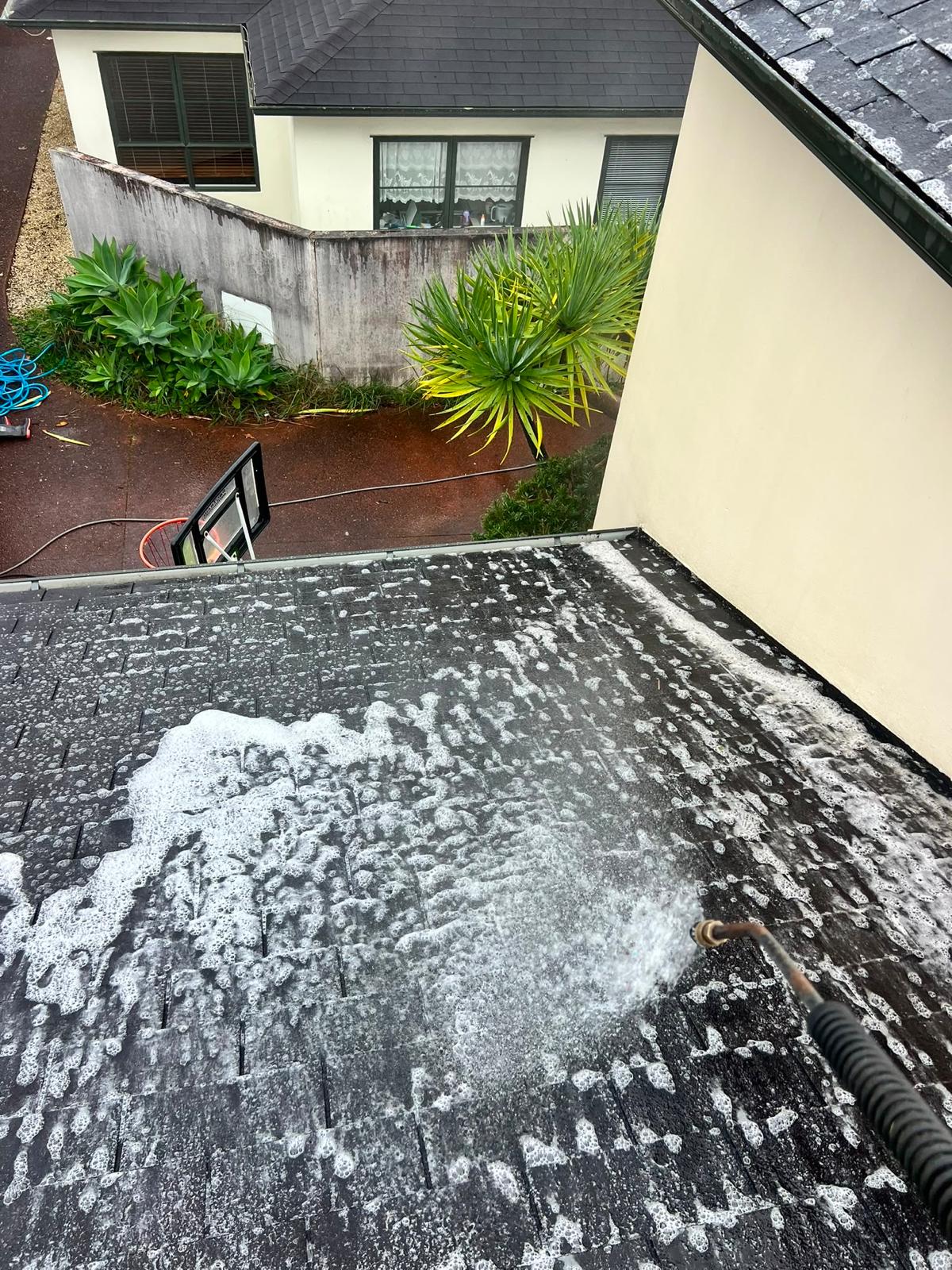 Why Roof Moss Should Not Be Ignored