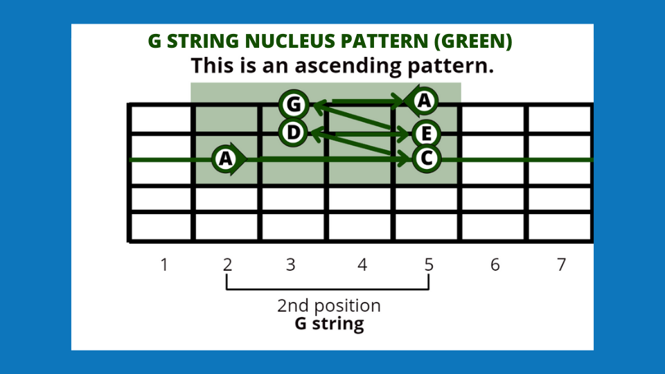 Nucleus Patterns — Step 2