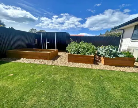  Newly Built Garden Boxes