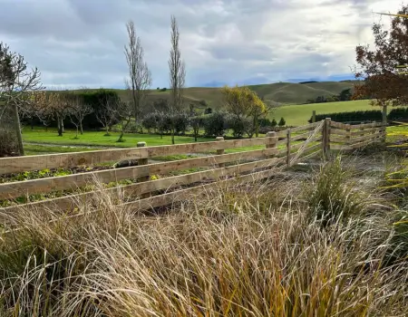 Newly Built Timber Fence in Geraldine