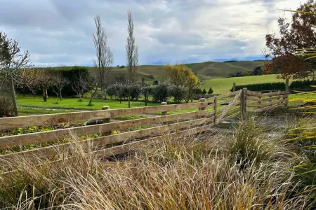 Timber Fence Example