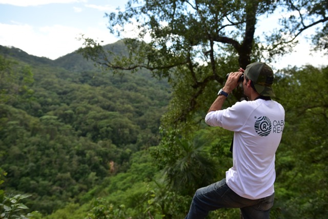 Guest viewing the tropical landscape