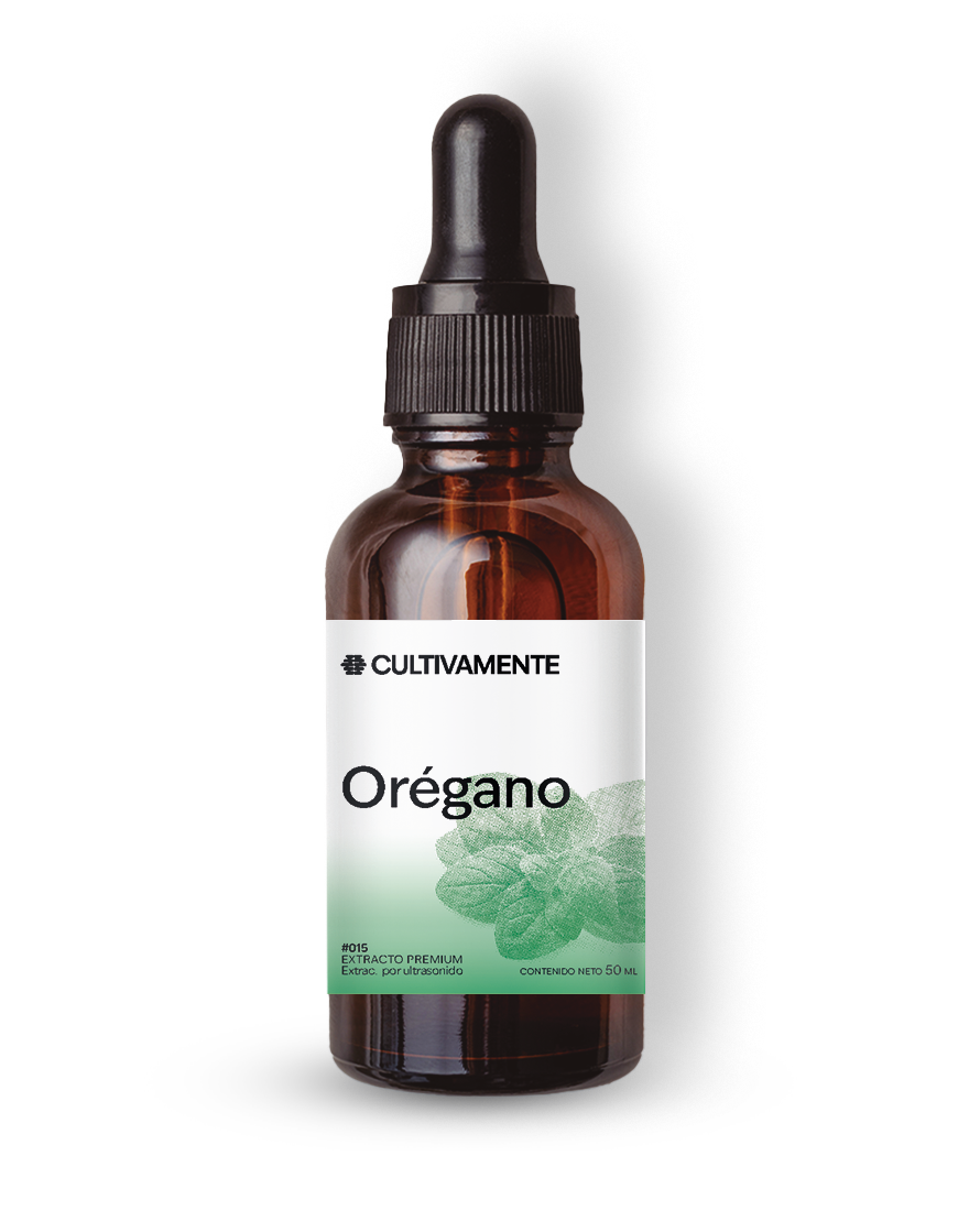 Orégano