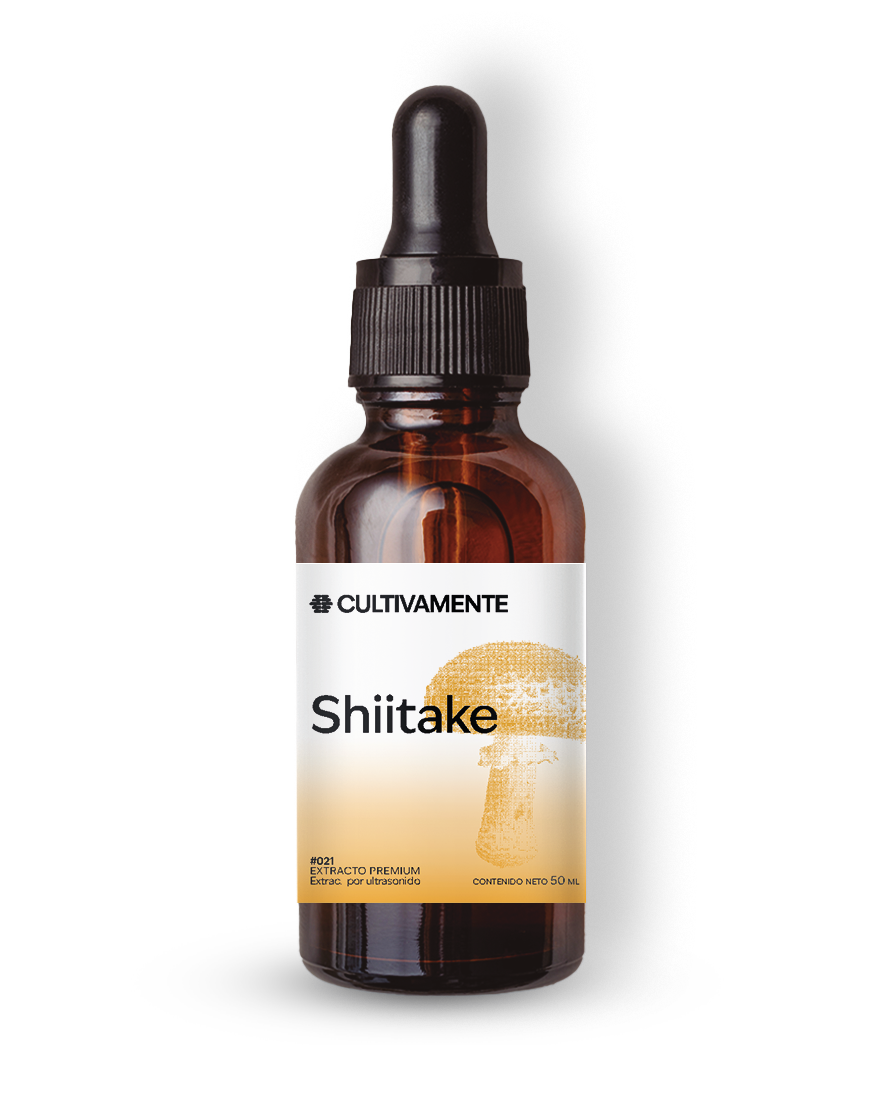 Shiitake