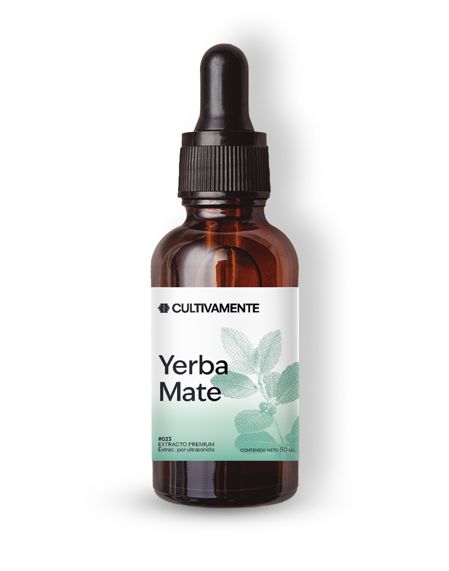 Yerba Mate