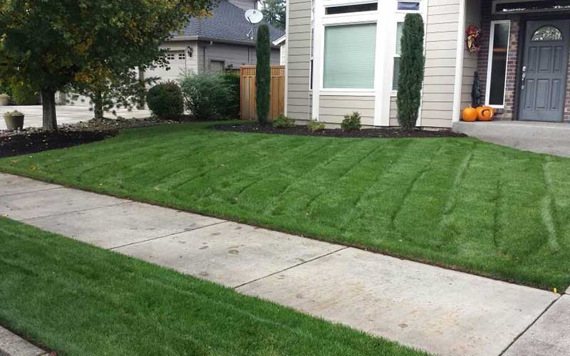 Seattle Lawn Care Pros crew working on a residential lawn