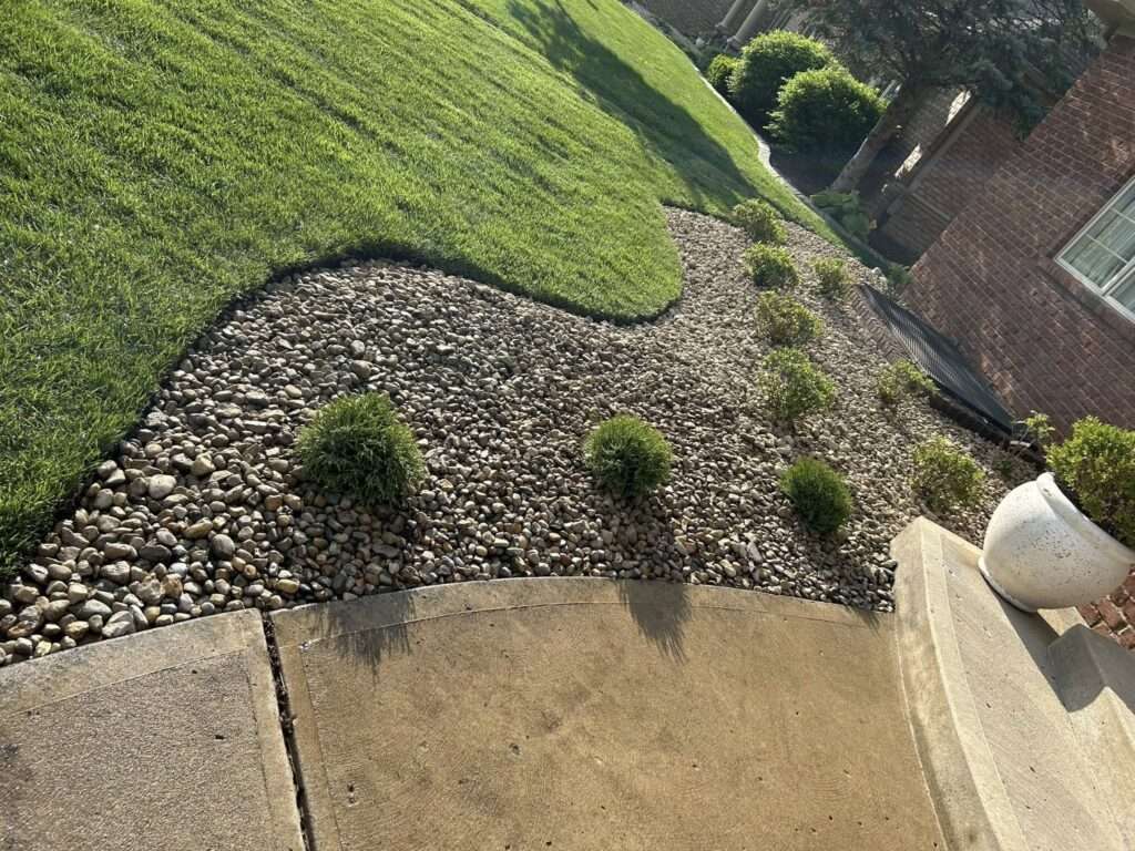 Technician mowing a lawn in Seattle with clean stripe pattern