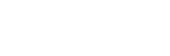 Stealth Technology Group